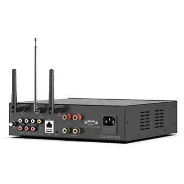 Arylic A100