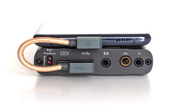 iFi Audio OTG Cable 90º Type C