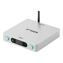 Cargar imagen en el visor de la galería, FiiO BR15 R2R
