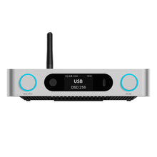 Cargar imagen en el visor de la galería, FiiO BR15 R2R
