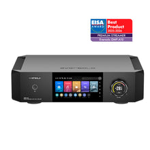 Load image into Gallery viewer, EverSolo DMP-A10
