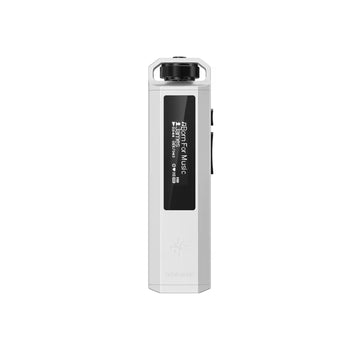 FiiO Snowsky ECHO NANO
