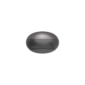 Plaud Note Pin