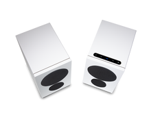 Cargar imagen en el visor de la galería, PSB IQ 1

