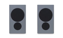 Cargar imagen en el visor de la galería, PSB IQ 2
