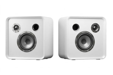 EverSolo SE100