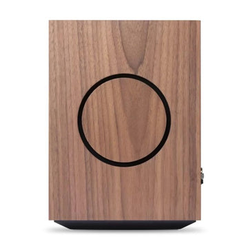 Cambridge Audio L/R M