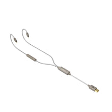 Load image into Gallery viewer, iFi Audio GO Cable
