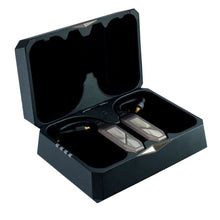 Cargar imagen en el visor de la galería, iFi Audio Go Pod Max caja
