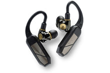 Load image into Gallery viewer, IFI Audio GO Pod
