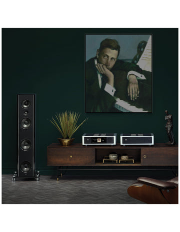 NAD M66