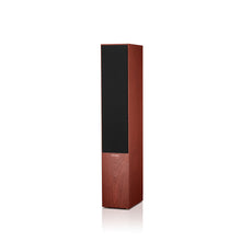 Load image into Gallery viewer, Bowers &amp; Wilkins 704 S2
