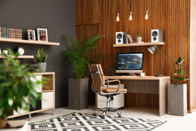 Cargar imagen en el visor de la galería, PSB Alpha iQ
