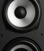 Cargar imagen en el visor de la galería, POLK MXT 60
