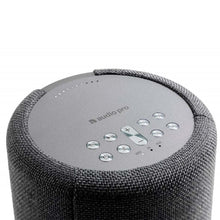 Load image into Gallery viewer, Audio Pro G10
