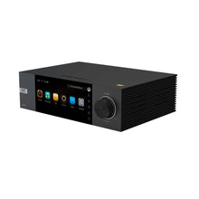 Load image into Gallery viewer, EverSolo DMP-A6
