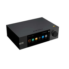 Load image into Gallery viewer, EverSolo DMP-A6
