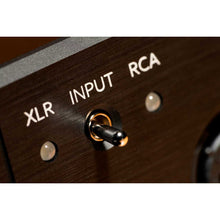 Load image into Gallery viewer, Violectric HPA V222
