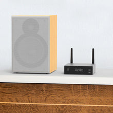 Load image into Gallery viewer, Arylic A50+
