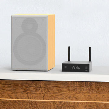 Arylic A50+