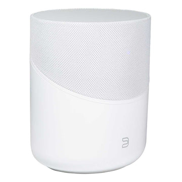 Bluesound PULSE M