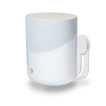 Bluesound PULSE M