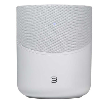 Bluesound PULSE M