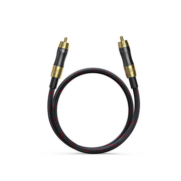 FiiO LR-RCA1