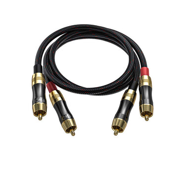 FiiO LR-RCA2 general