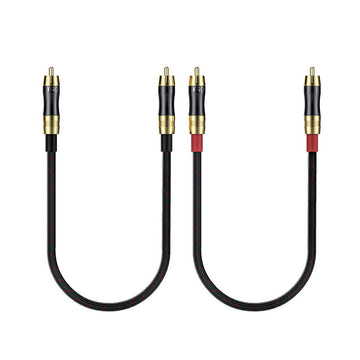 FiiO LR-RCA2 conectores general