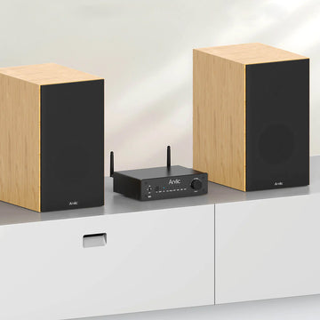 Arylic B50