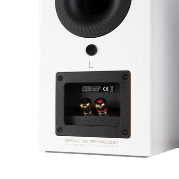 Definitive Technology D11