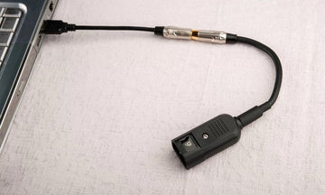iFi Audio Groundhog+ USB