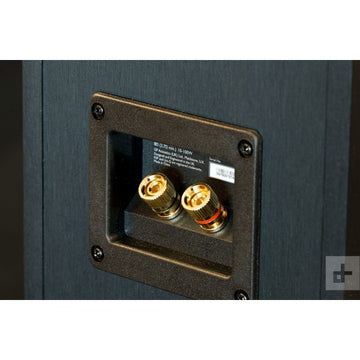 KEF Q950 conexiones