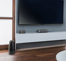 Cargar imagen en el visor de la galería, Polk Audio Magnifi Mini decoración 5
