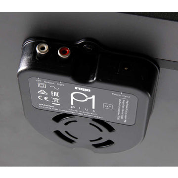 Rega Planar 1 Plus Negro Mate conexiones