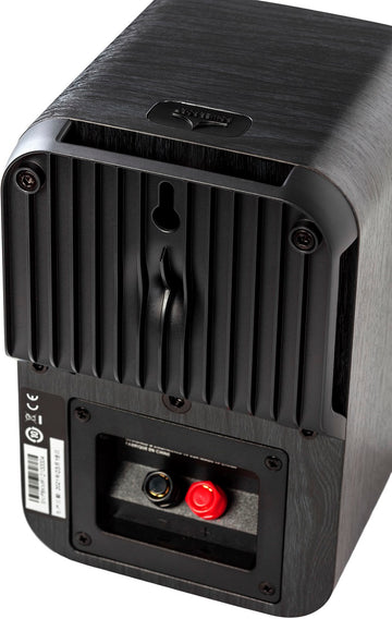 Polk Audio ES10 Elite trasera