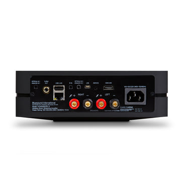 Bluesound POWERNODE 2i conexiones