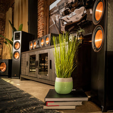 Cargar imagen en el visor de la galería, Klipsch RP-504C editorial 
