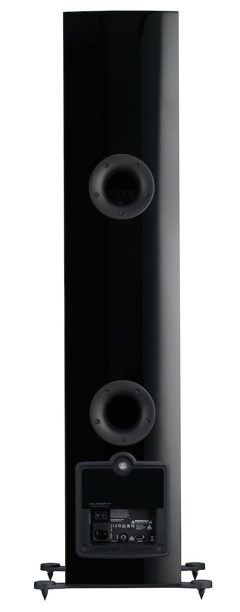Dali Rubicon 6 C negro conexiones