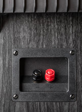 Load image into Gallery viewer, Polk Audio S15e Conexiones

