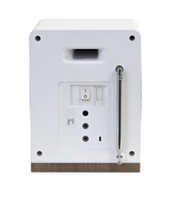 Load image into Gallery viewer, Radio Tangent Spectrum DAB+ Trasero
