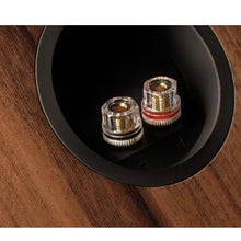 Load image into Gallery viewer, Cambridge Audio SX80 walnut bornes
