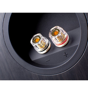 Cambridge Audio SX80 negro bornes