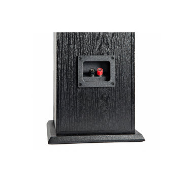Polk Audio T50 conexiones