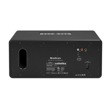 Audio Pro D-2 trasera