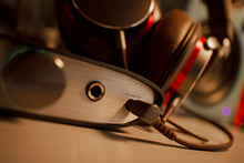 Cargar imagen en el visor de la galería, iFi Audio Zen DAC editorial
